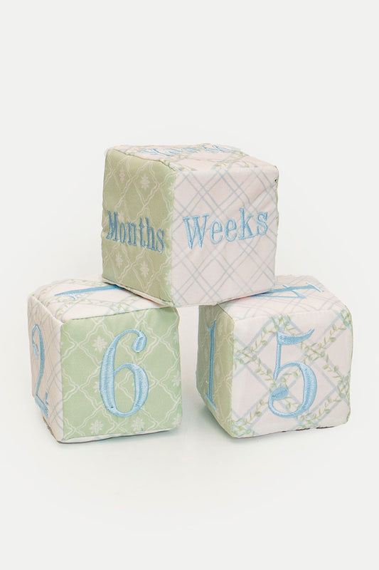 MILESTONES FOR BOY